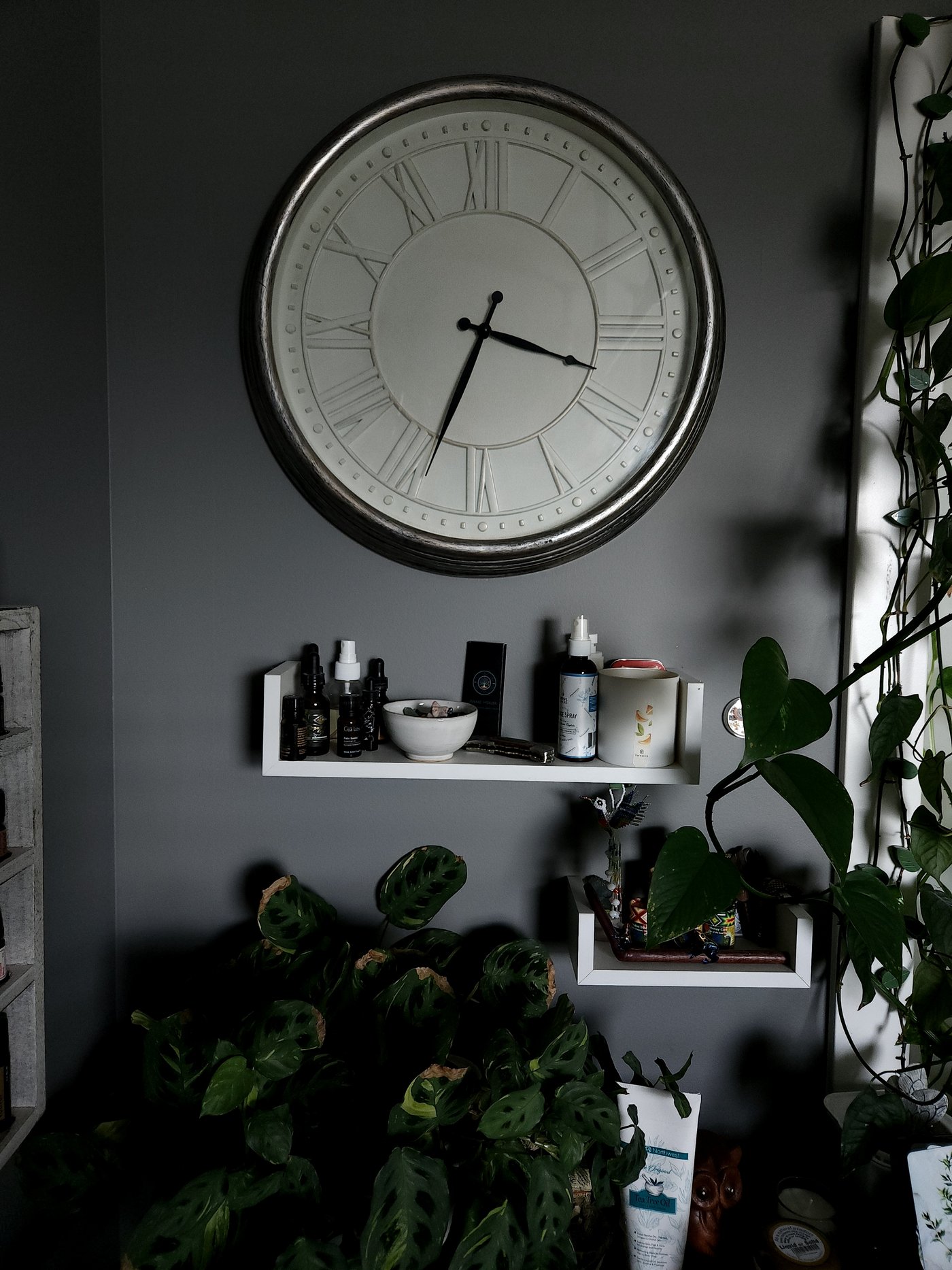 Studio corner with vintage clock, trailing plants, and essential oil shelf at Michael Jaece's Orem, Utah massage practice.